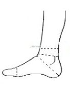 RB-40 Ankle support brace